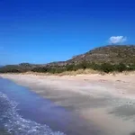 Pallas
