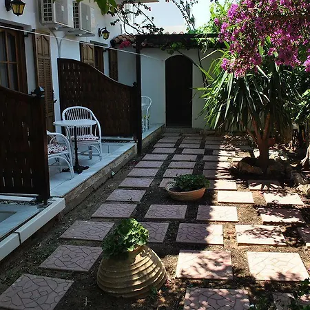 Pallas 4*