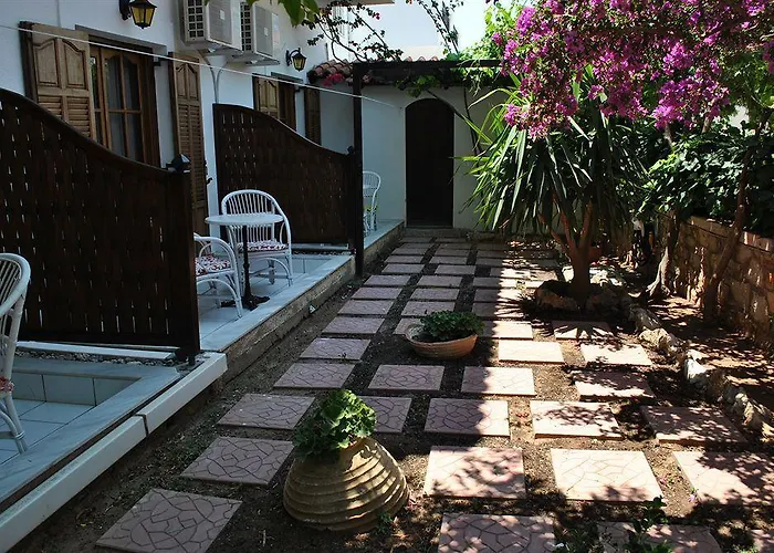 Pallas 4*