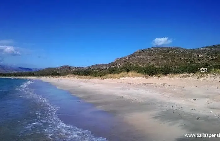 Pallas