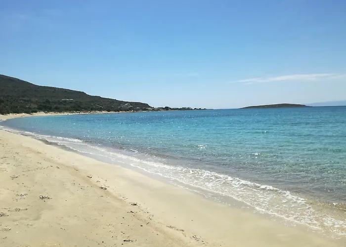Pallas 4*